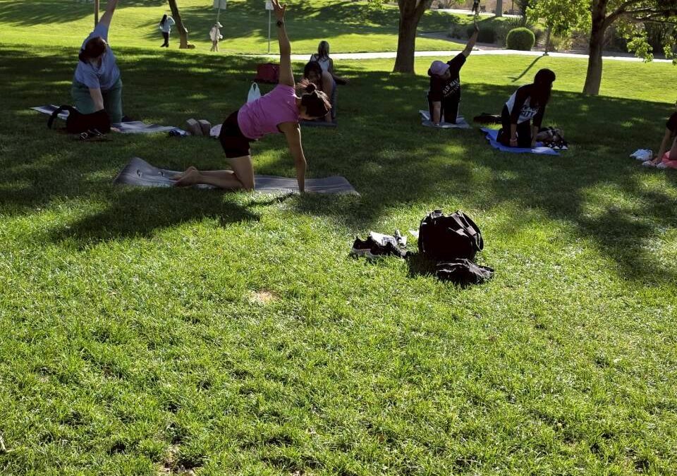 YOGA FOR BEGINNER IN THE PARK